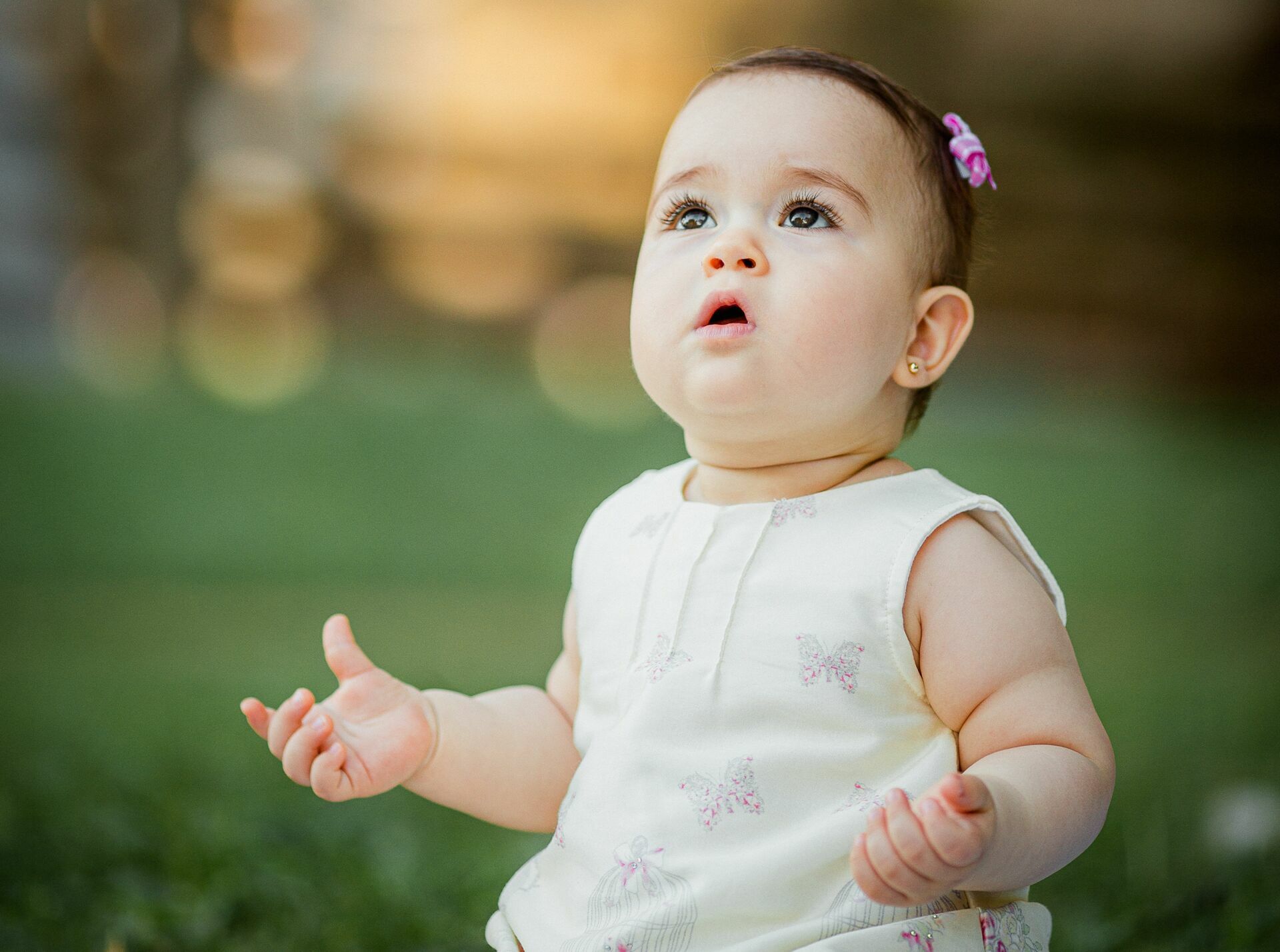 Foto Acompanhamento . Martina . Brasilia DF - Imagem 1