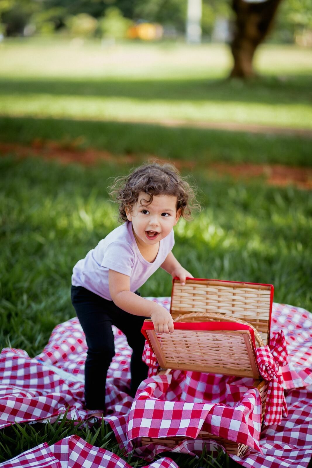 Foto Ensaio Infantil . Pic Nic da Ísis . Brasilia DF - Imagem 12
