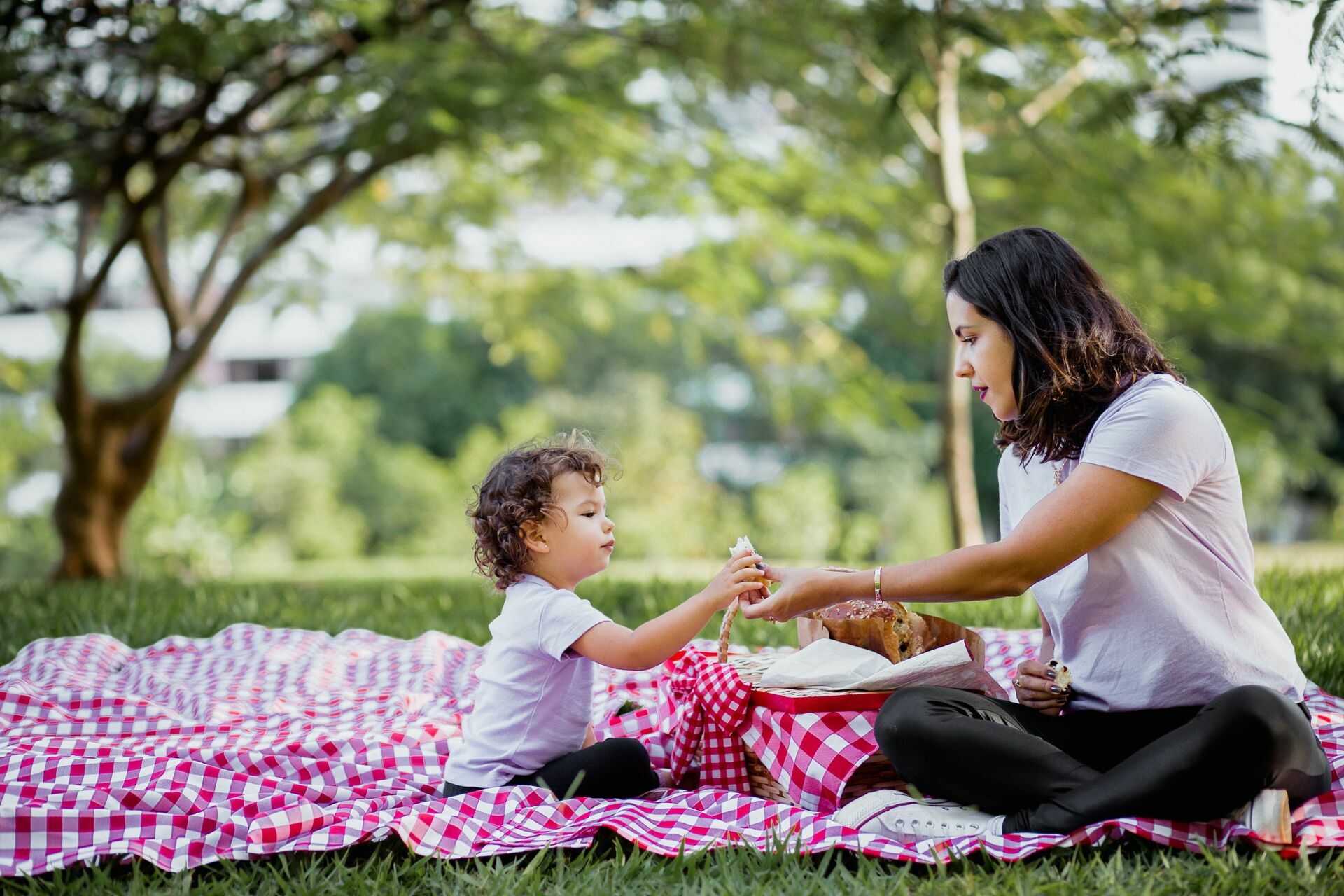 Foto Ensaio Infantil . Pic Nic da Ísis . Brasilia DF - Imagem 15