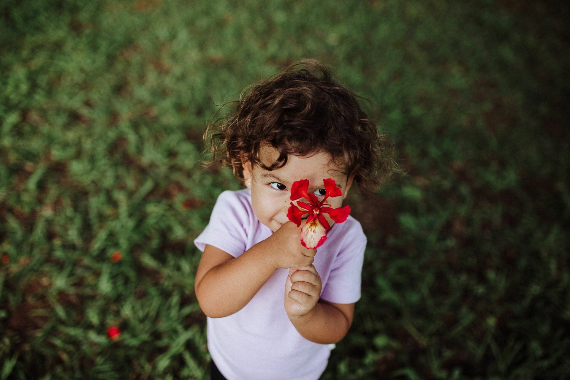Foto Ensaio Infantil . Pic Nic da Ísis . Brasilia DF - Imagem 20