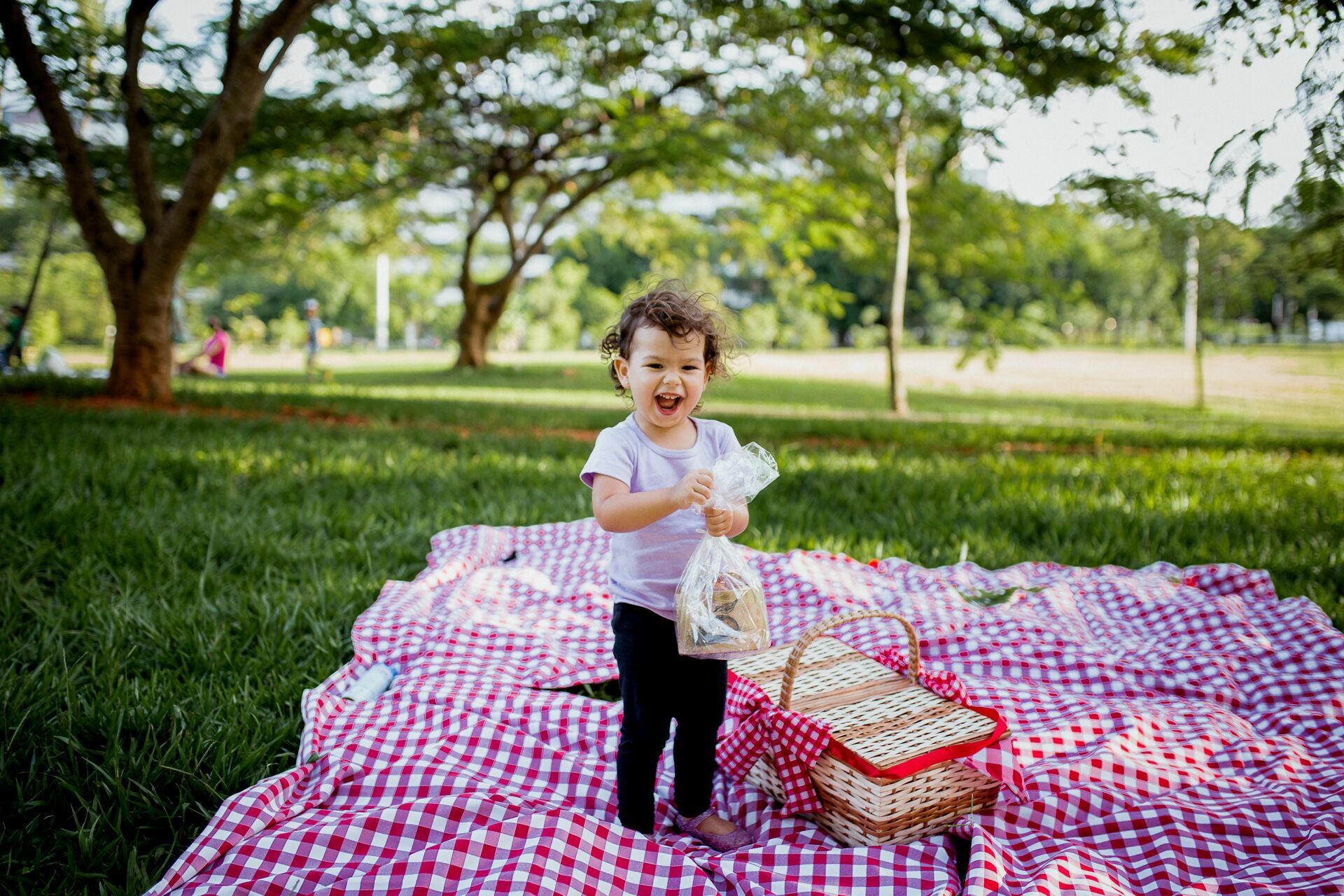 Foto Ensaio Infantil . Pic Nic da Ísis . Brasilia DF - Imagem 13