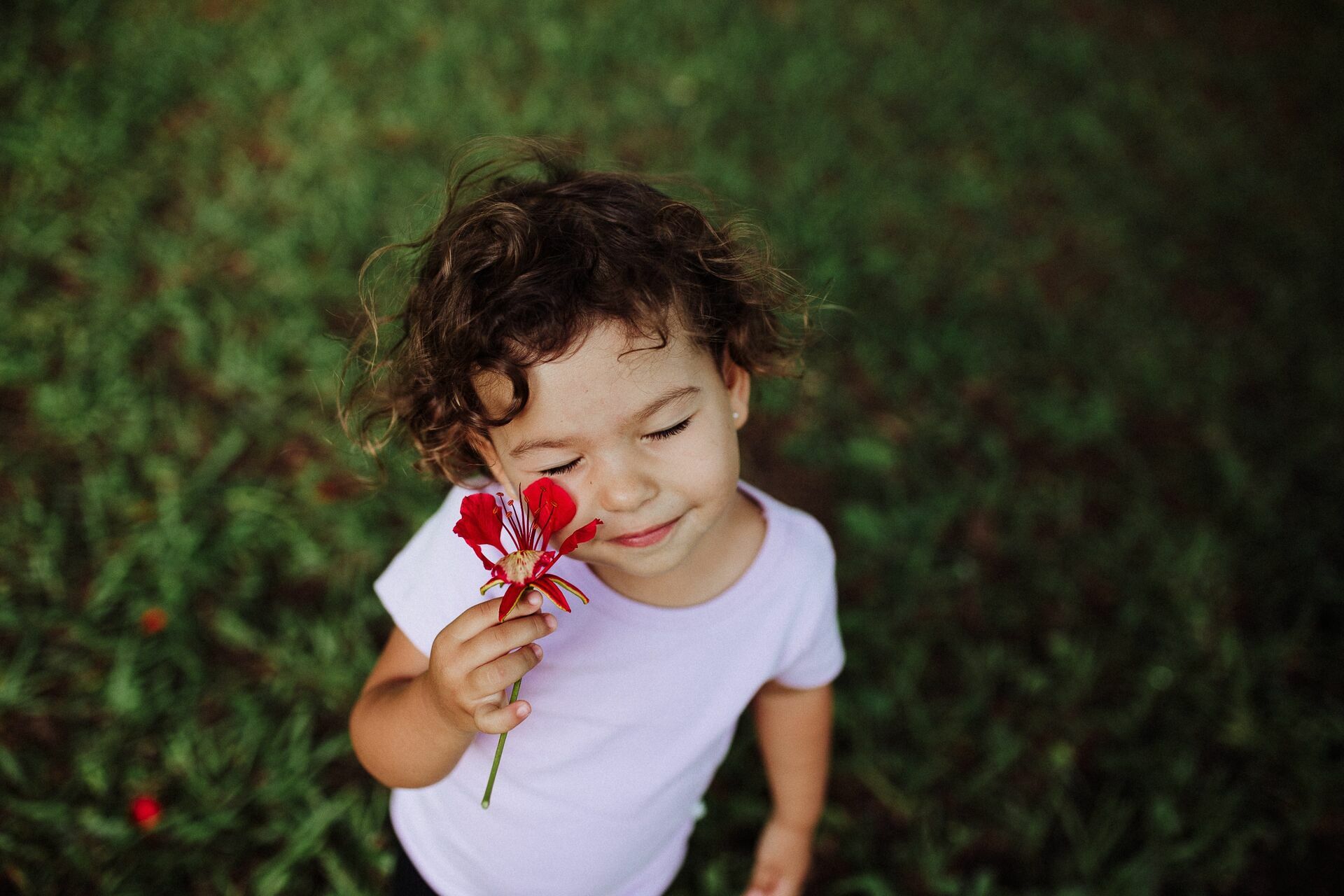 Foto Ensaio Infantil . Pic Nic da Ísis . Brasilia DF - Imagem 19