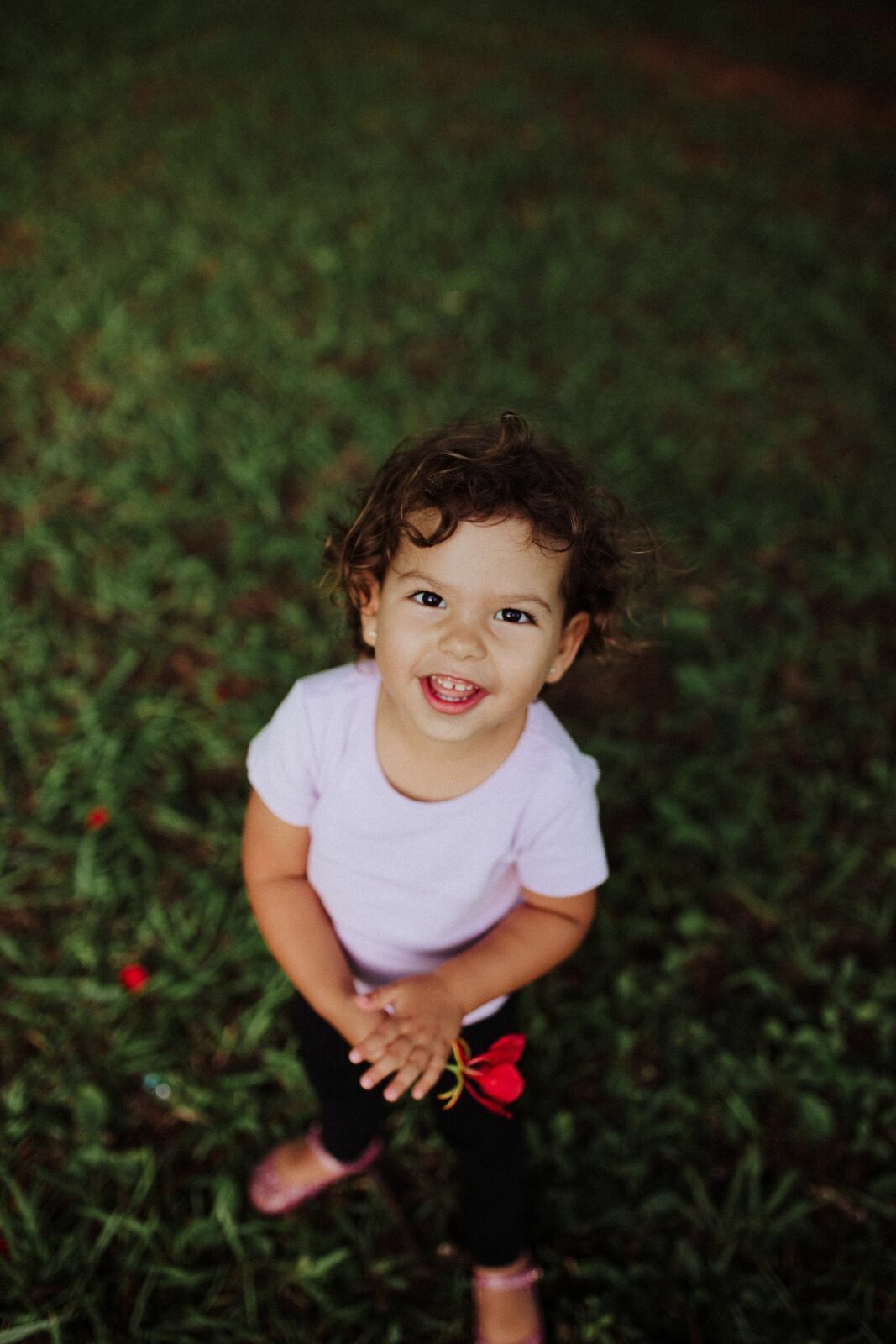 Foto Ensaio Infantil . Pic Nic da Ísis . Brasilia DF - Imagem 22