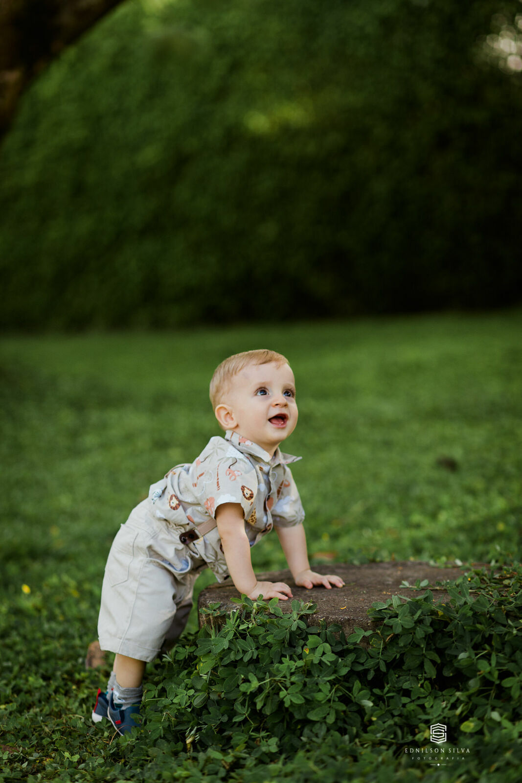 Foto Ensaio Família  1 Aninho Victor - Brasilia DF - Imagem 23