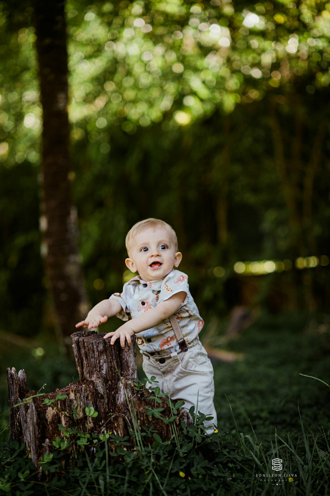 Foto Ensaio Família  1 Aninho Victor - Brasilia DF - Imagem 14