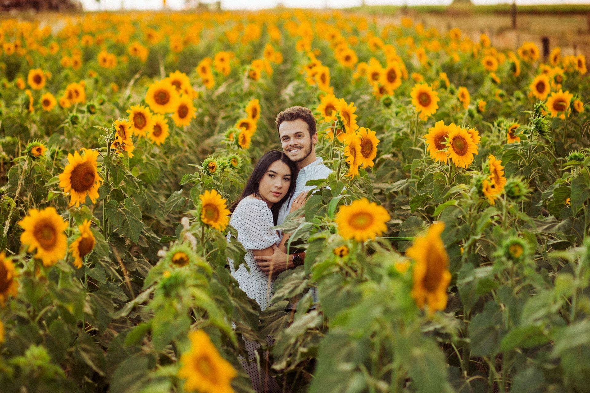 Foto Gabi e Uile - Plantação de Girassol - Brasilia Foto Gabi e Uile - Plantação de Girassol - Brasilia - Imagem 1