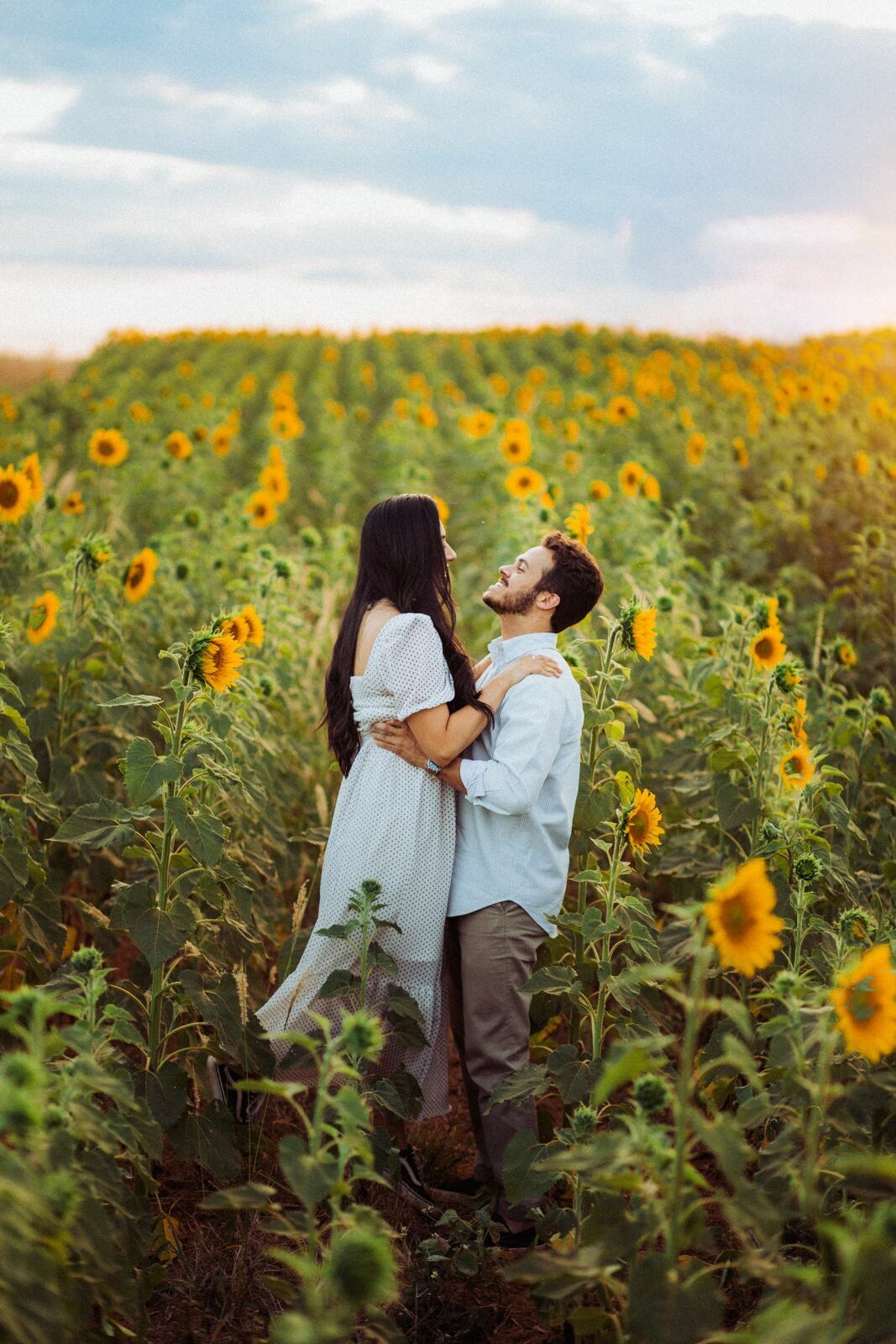 Foto Gabi e Uile - Plantação de Girassol - Brasilia Foto Gabi e Uile - Plantação de Girassol - Brasilia - Imagem 7