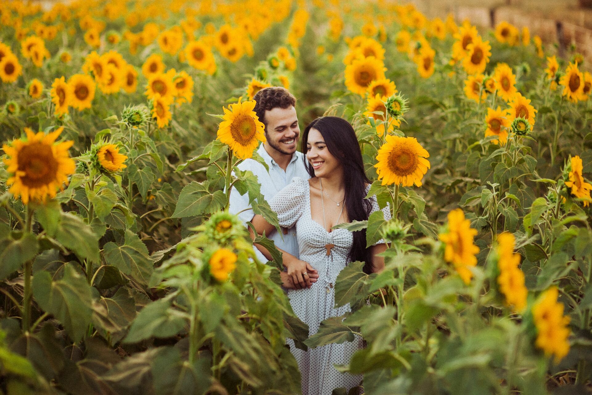 Foto Gabi e Uile - Plantação de Girassol - Brasilia Foto Gabi e Uile - Plantação de Girassol - Brasilia - Imagem 0