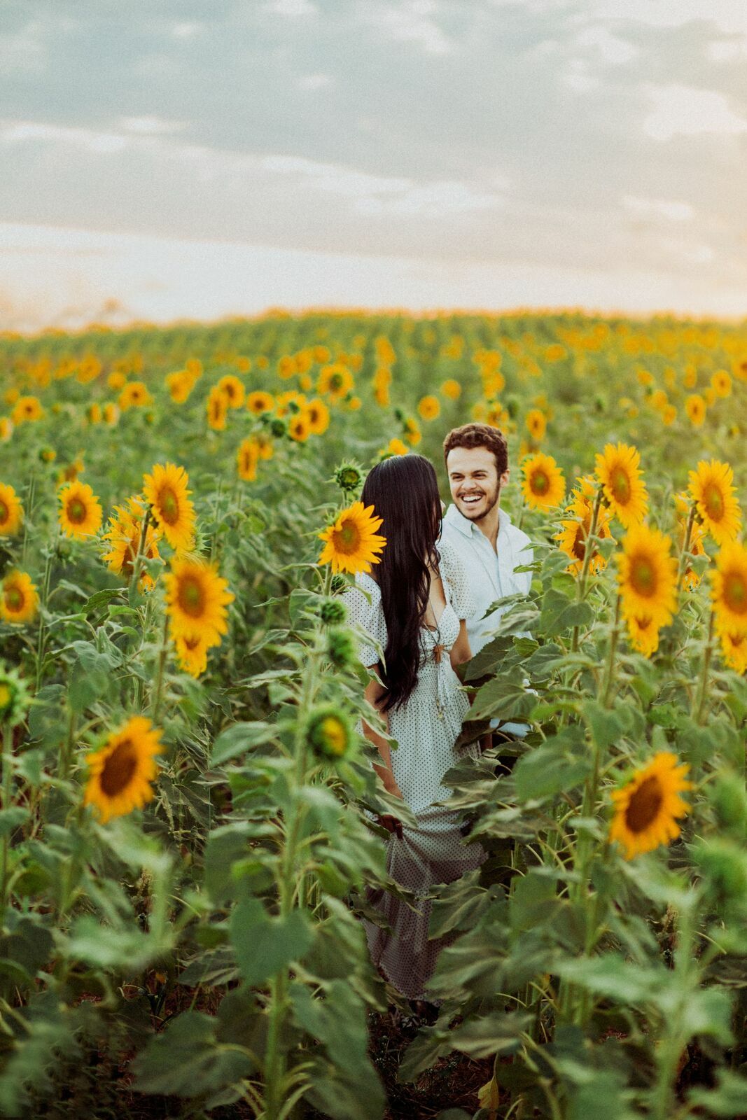 Foto Gabi e Uile - Plantação de Girassol - Brasilia Foto Gabi e Uile - Plantação de Girassol - Brasilia - Imagem 18