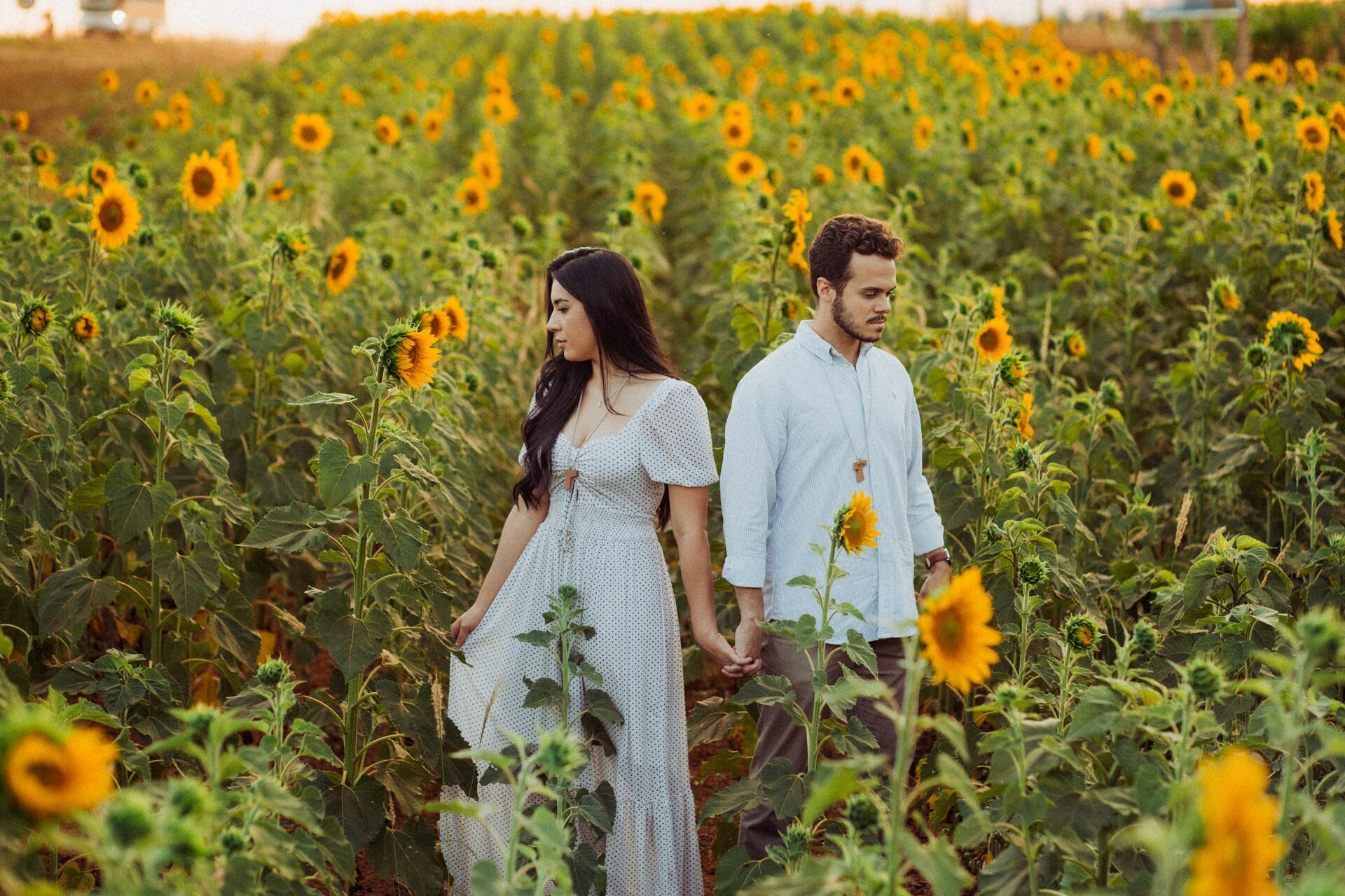 Foto Gabi e Uile - Plantação de Girassol - Brasilia Foto Gabi e Uile - Plantação de Girassol - Brasilia - Imagem 6