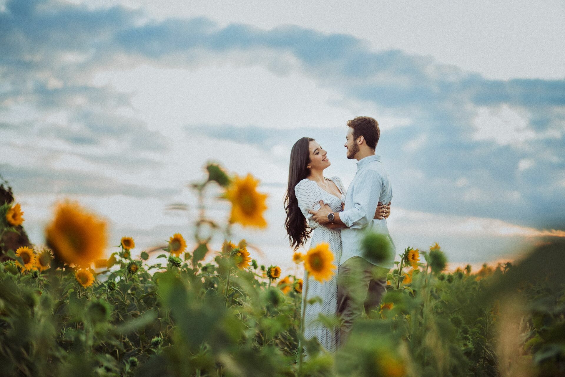 Foto Gabi e Uile - Plantação de Girassol - Brasilia Foto Gabi e Uile - Plantação de Girassol - Brasilia - Imagem 13