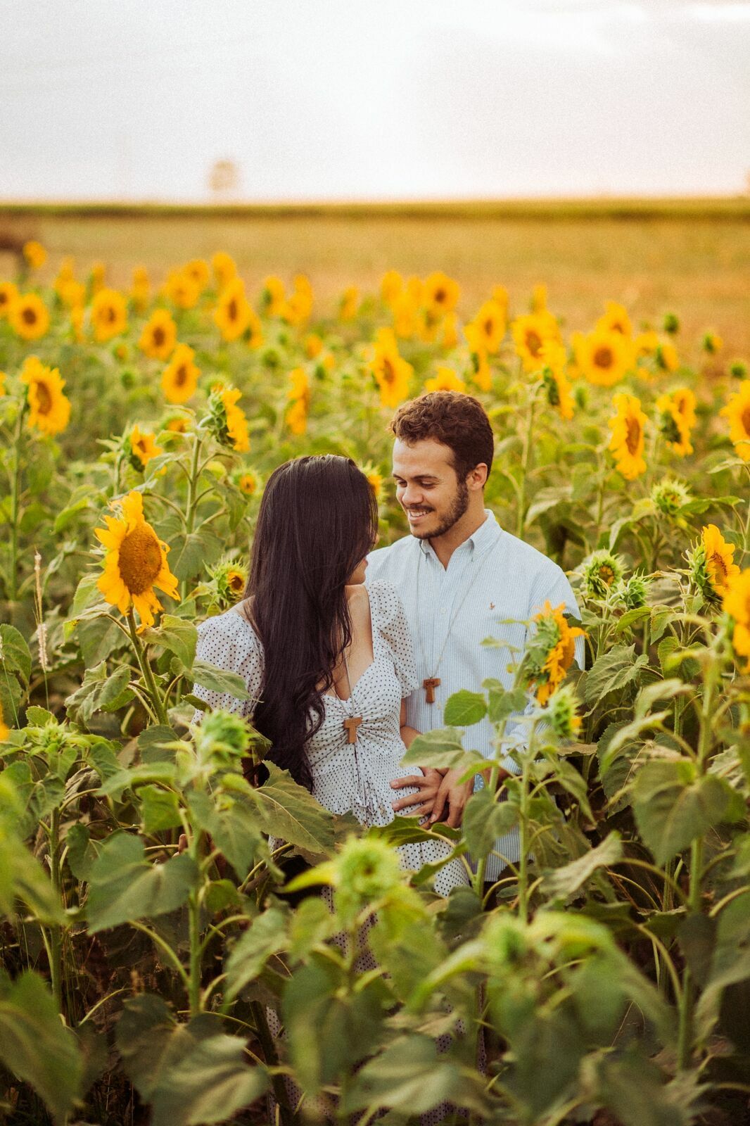 Foto Gabi e Uile - Plantação de Girassol - Brasilia Foto Gabi e Uile - Plantação de Girassol - Brasilia - Imagem 3