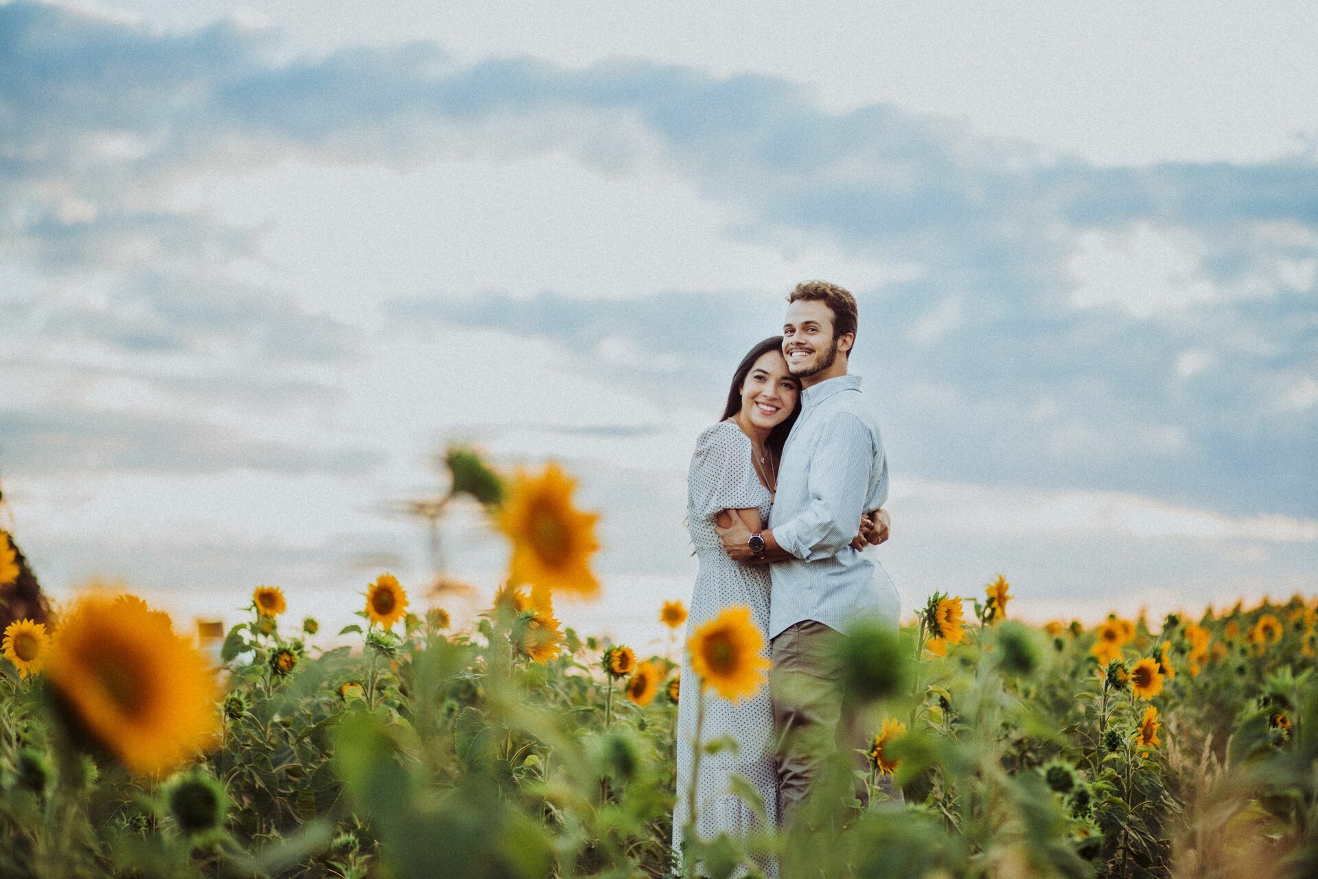 Foto Gabi e Uile - Plantação de Girassol - Brasilia Foto Gabi e Uile - Plantação de Girassol - Brasilia - Imagem 14