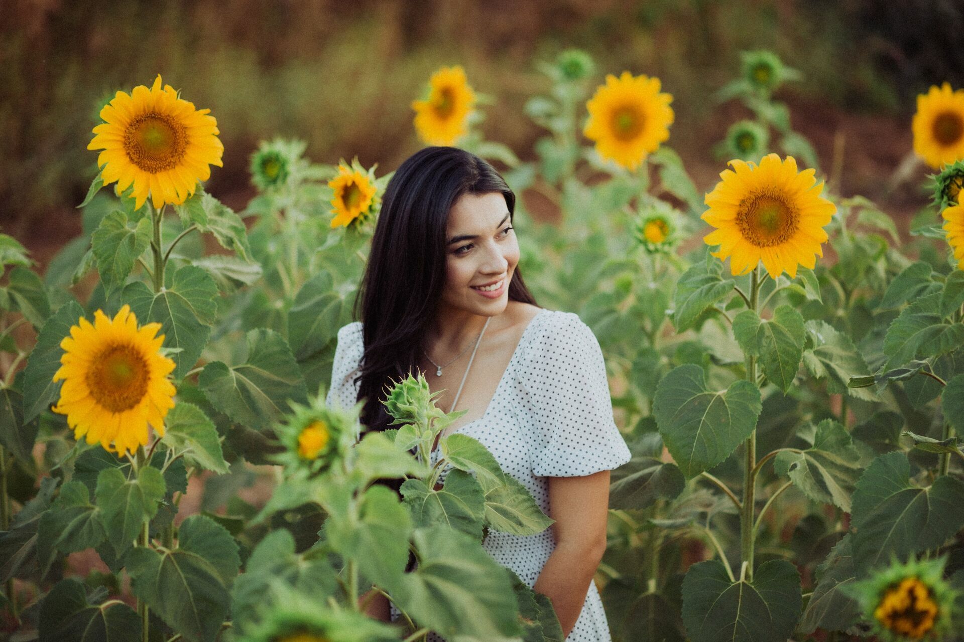 Foto Gabi e Uile - Plantação de Girassol - Brasilia Foto Gabi e Uile - Plantação de Girassol - Brasilia - Imagem 16