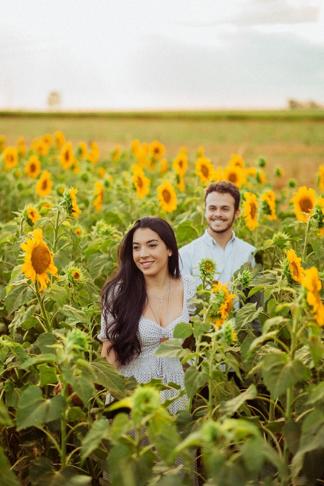 Foto Gabi e Uile - Plantação de Girassol - Brasilia Foto Gabi e Uile - Plantação de Girassol - Brasilia - Imagem 2