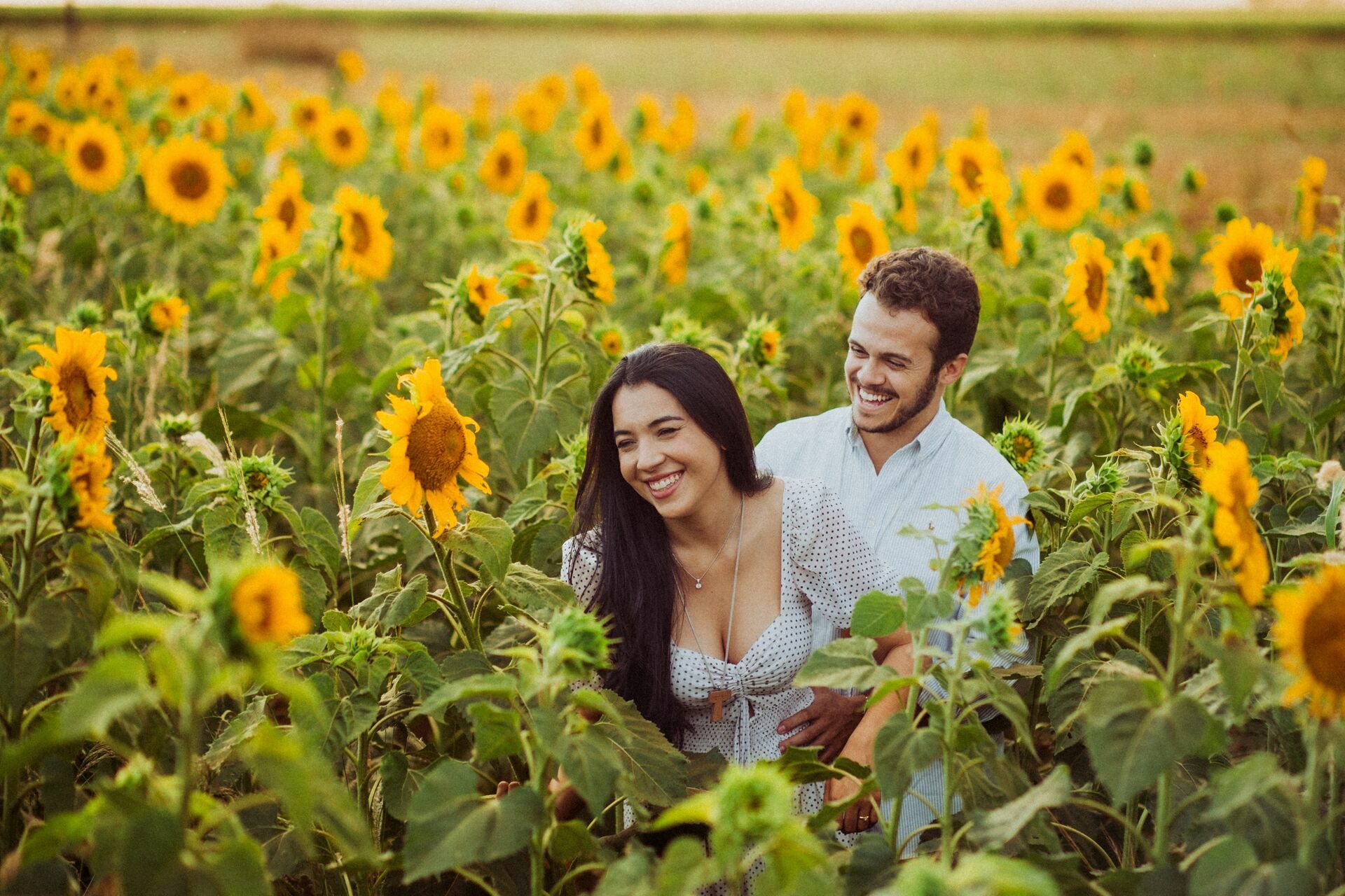 Foto Gabi e Uile - Plantação de Girassol - Brasilia Foto Gabi e Uile - Plantação de Girassol - Brasilia - Imagem 4