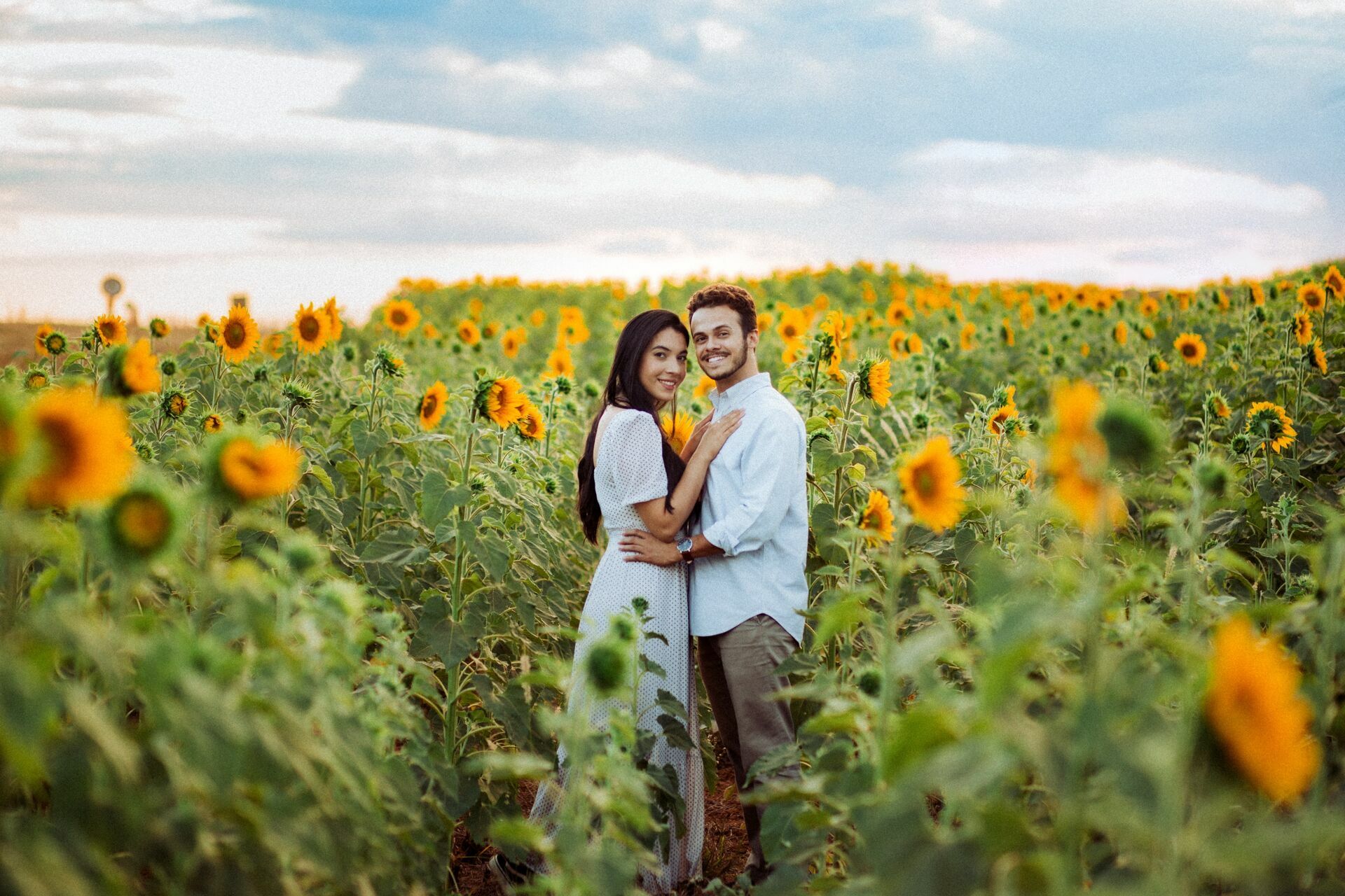 Foto Gabi e Uile - Plantação de Girassol - Brasilia Foto Gabi e Uile - Plantação de Girassol - Brasilia - Imagem 8