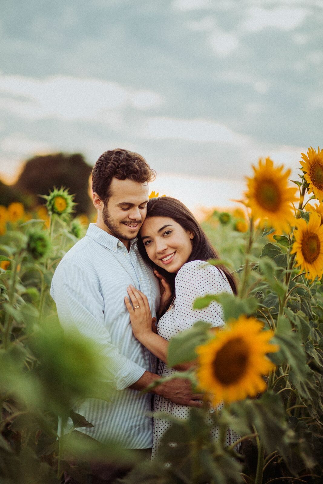 Foto Gabi e Uile - Plantação de Girassol - Brasilia Foto Gabi e Uile - Plantação de Girassol - Brasilia - Imagem 27