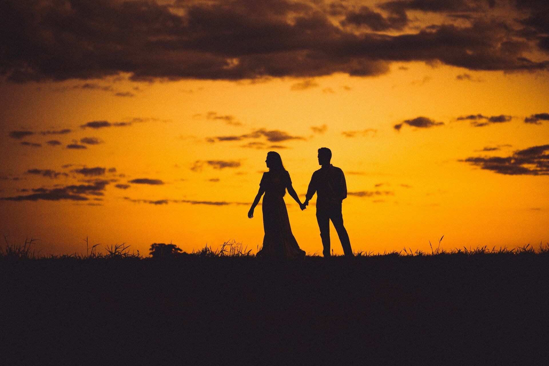 Foto Gabi e Uile - Plantação de Girassol - Brasilia Foto Gabi e Uile - Plantação de Girassol - Brasilia - Imagem 29