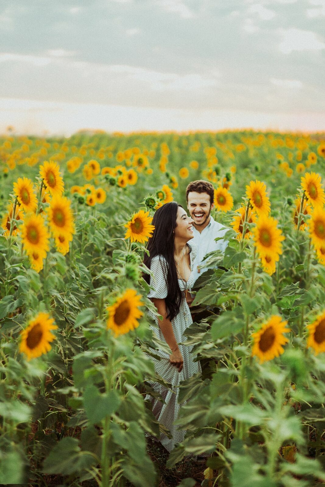 Foto Gabi e Uile - Plantação de Girassol - Brasilia Foto Gabi e Uile - Plantação de Girassol - Brasilia - Imagem 19