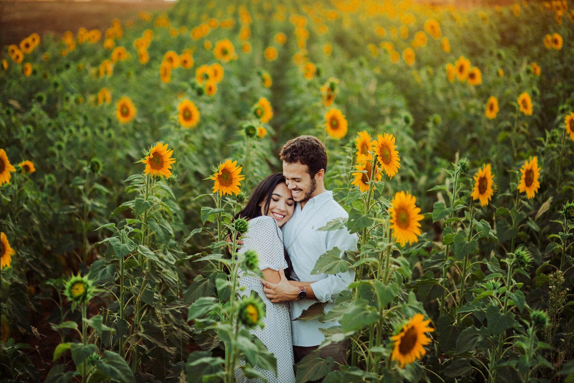 Foto Gabi e Uile - Plantação de Girassol - Brasilia Foto Gabi e Uile - Plantação de Girassol - Brasilia - Imagem 22
