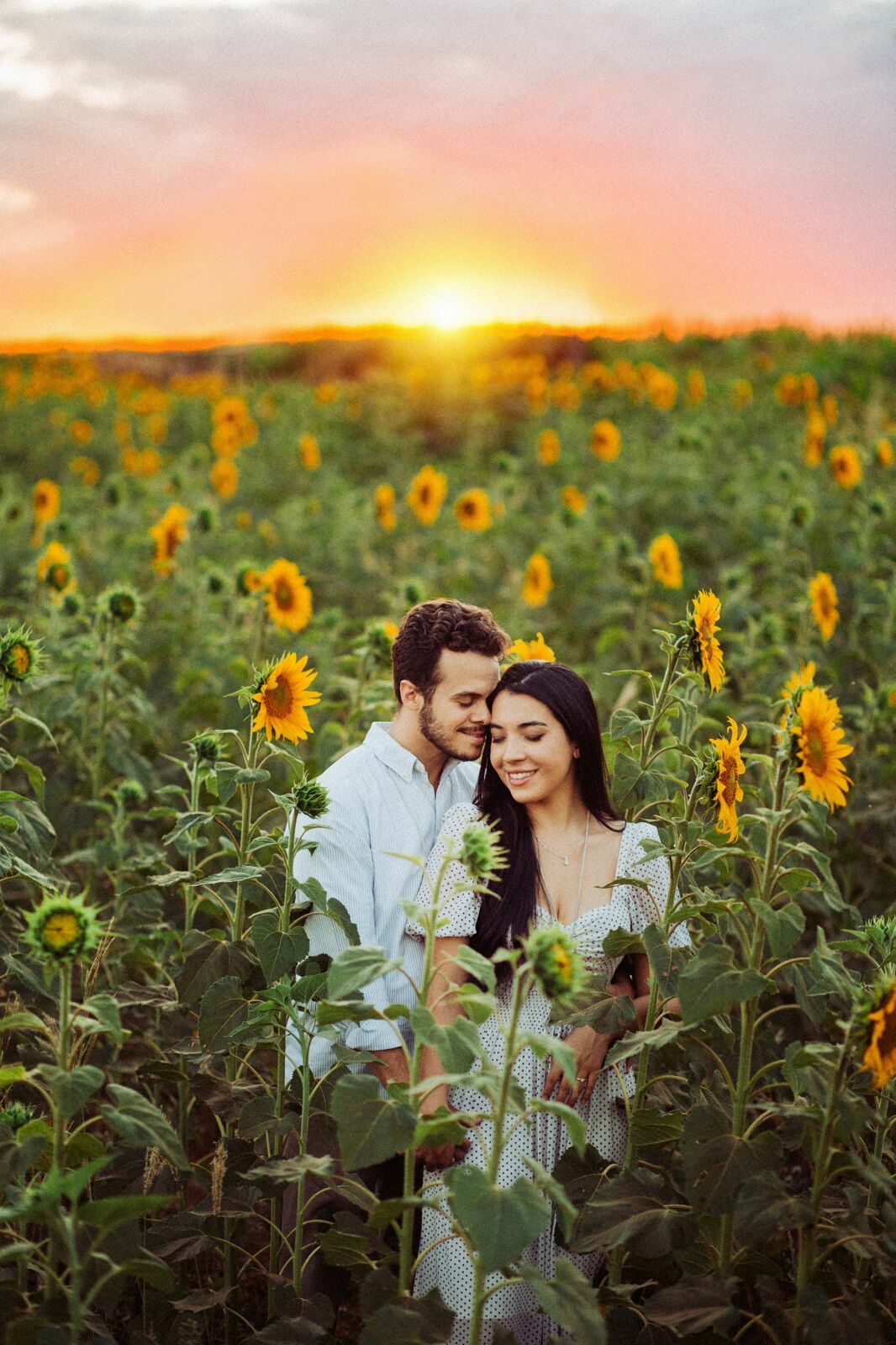 Foto Gabi e Uile - Plantação de Girassol - Brasilia Foto Gabi e Uile - Plantação de Girassol - Brasilia - Imagem 24