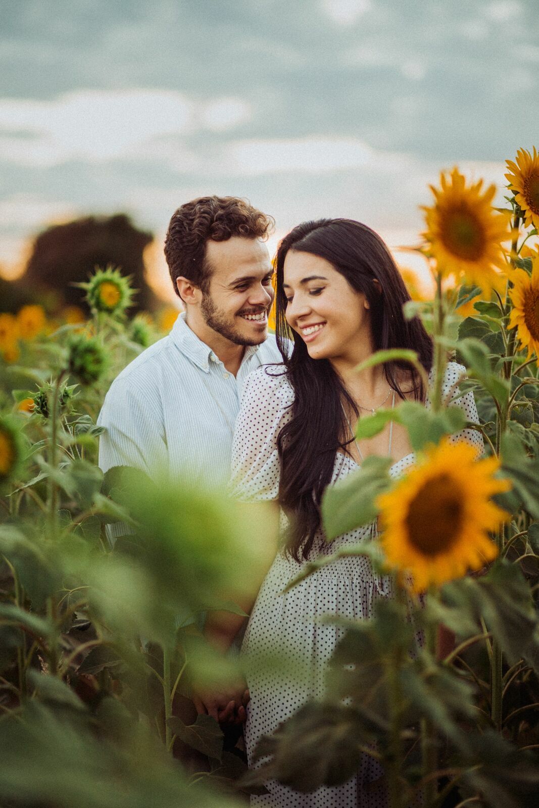 Foto Gabi e Uile - Plantação de Girassol - Brasilia Foto Gabi e Uile - Plantação de Girassol - Brasilia - Imagem 26