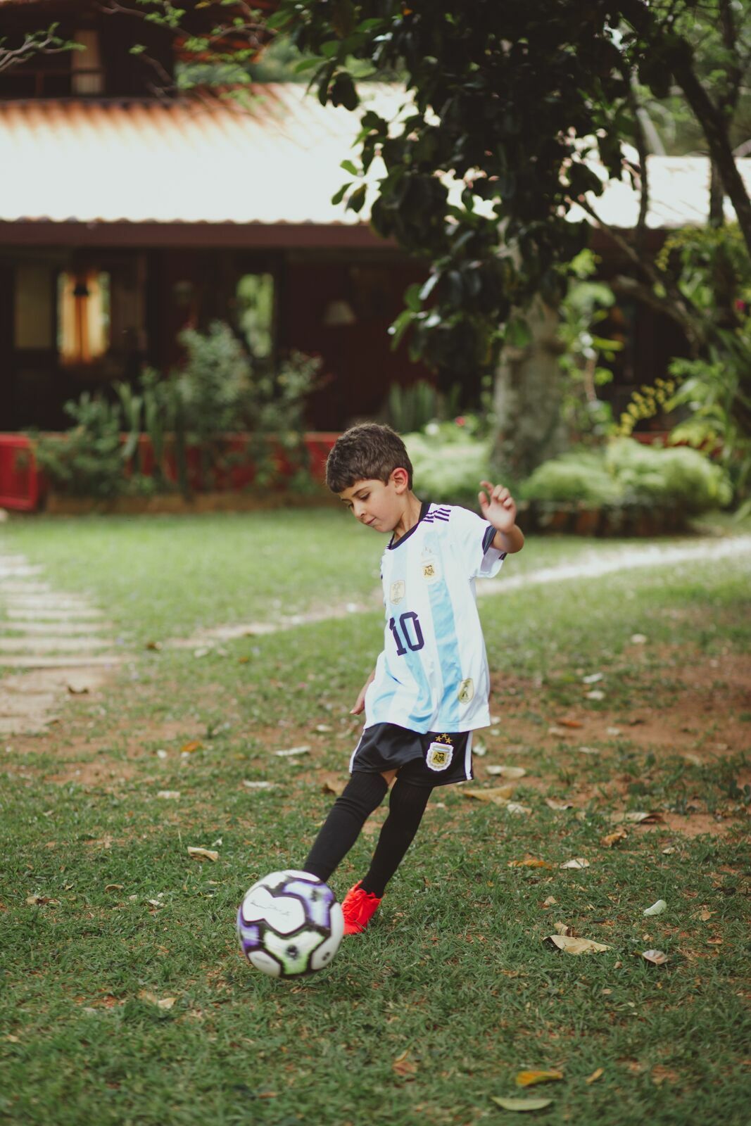 Foto 6 Anos Gael - Imagem 8