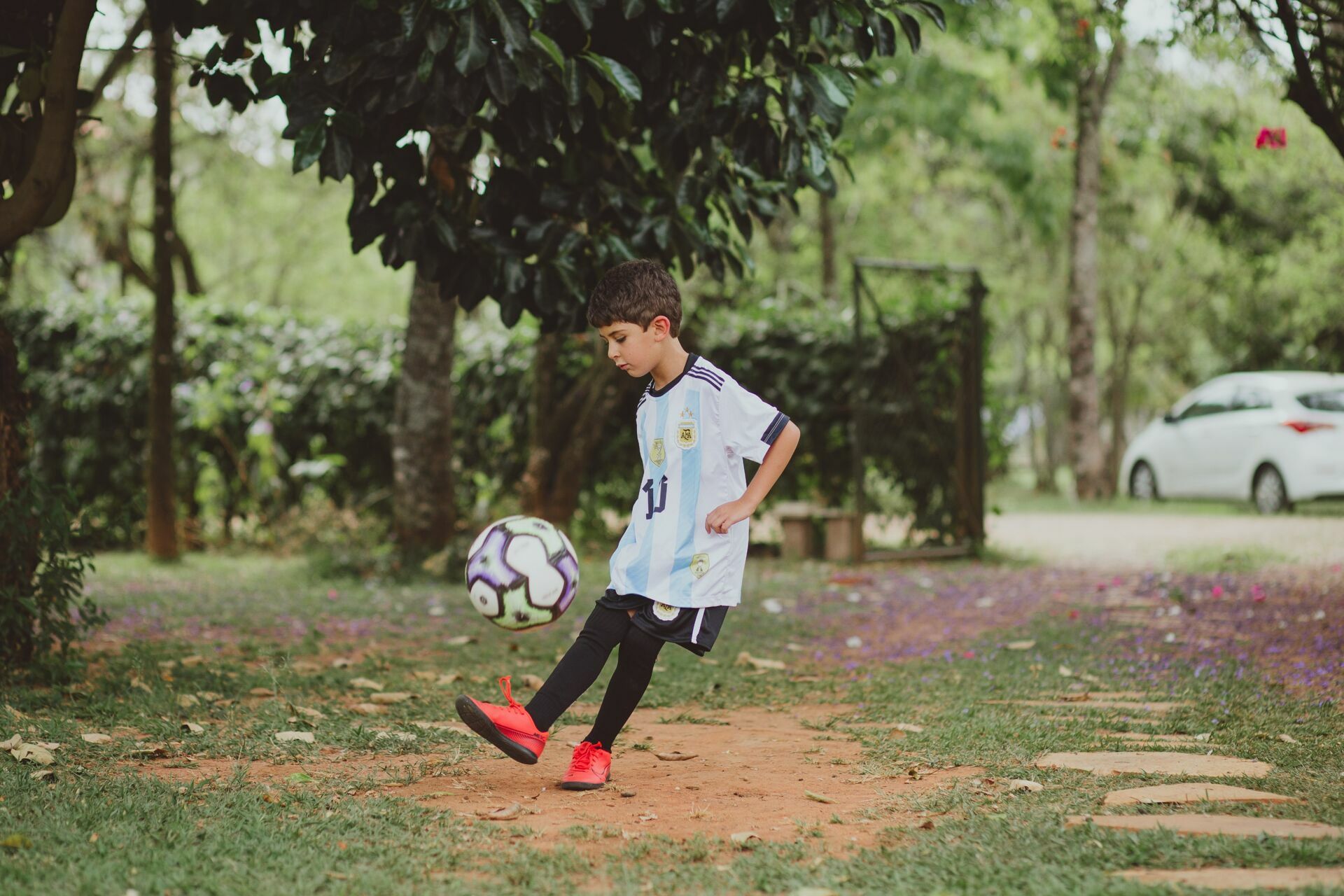 Foto 6 Anos Gael - Imagem 11