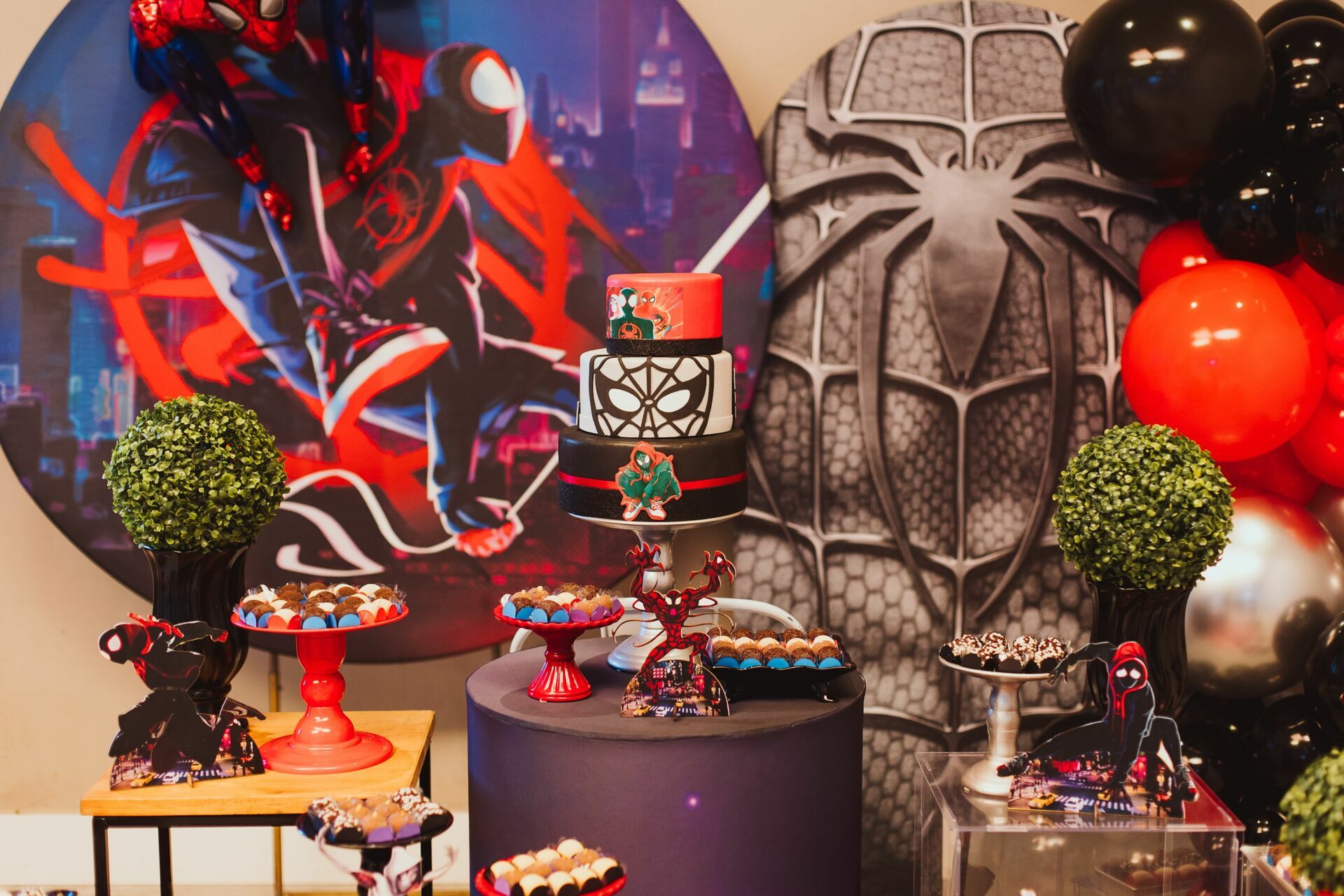 Foto Festa INfantil 5 anos Ivan - Imagem 1