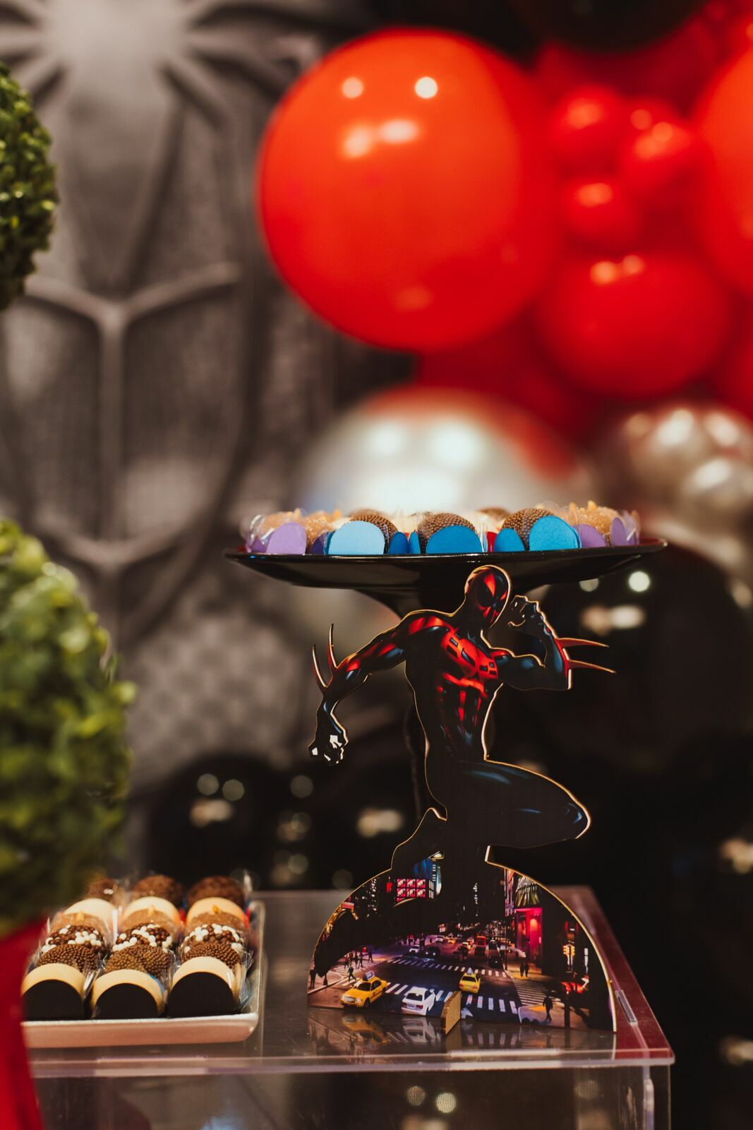 Foto Festa INfantil 5 anos Ivan - Imagem 2