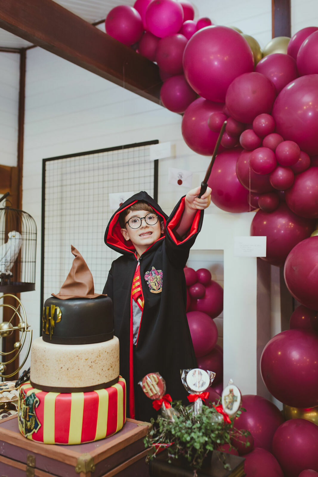 Foto Luigi 6 anos - Harry Potter - Imagem 34