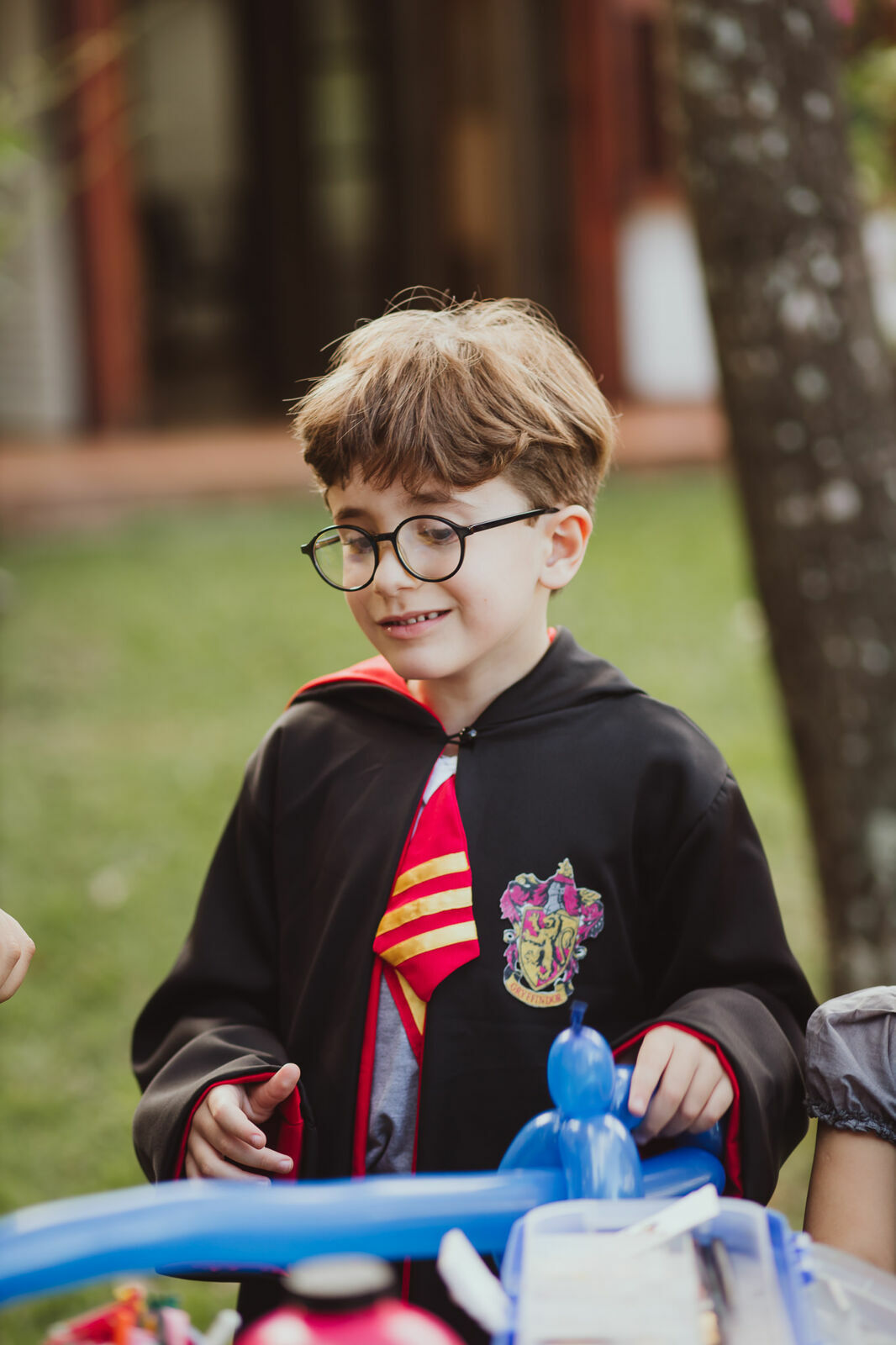 Foto Luigi 6 anos - Harry Potter - Imagem 42