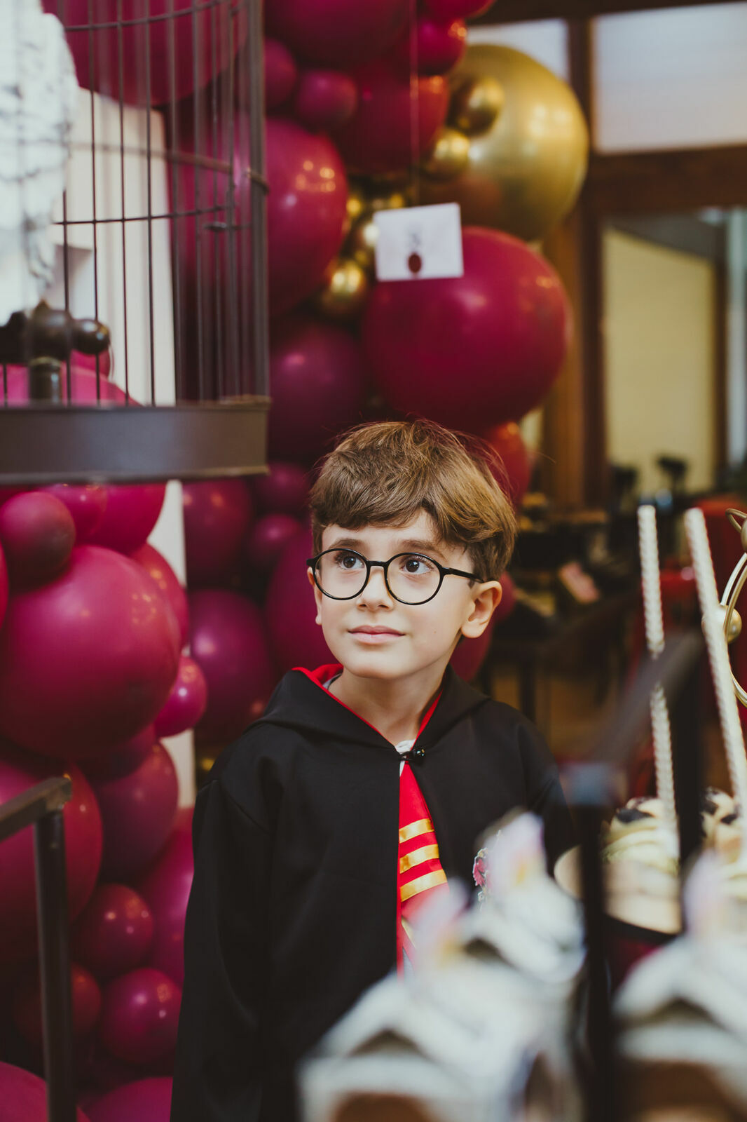 Foto Luigi 6 anos - Harry Potter - Imagem 22