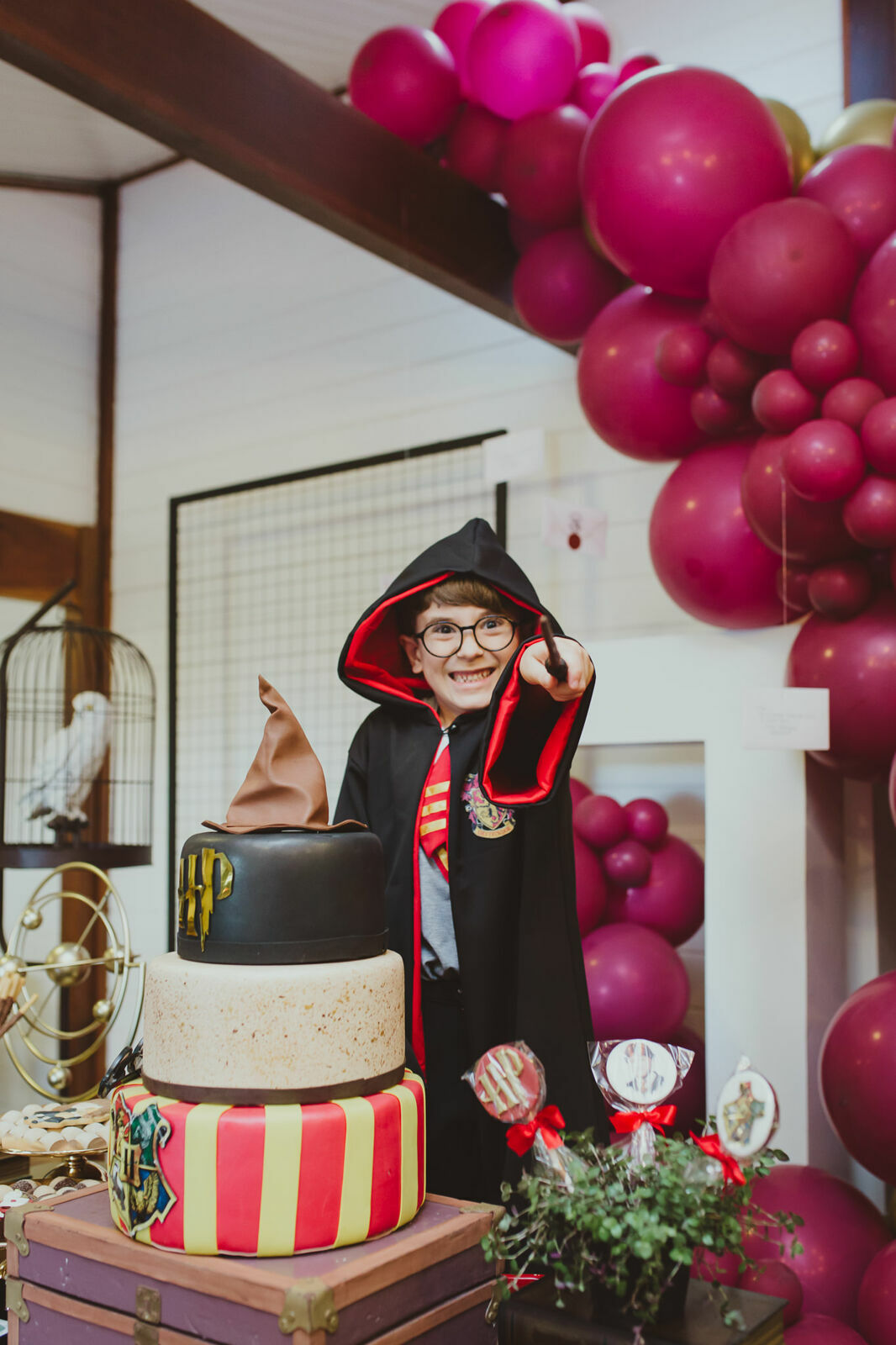 Foto Luigi 6 anos - Harry Potter - Imagem 36