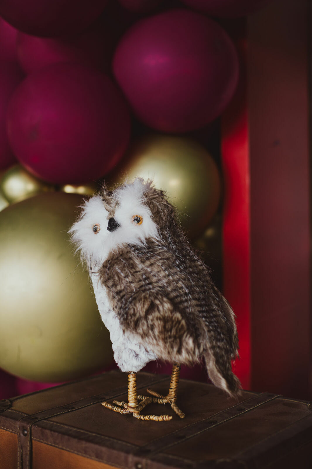 Foto Luigi 6 anos - Harry Potter - Imagem 19