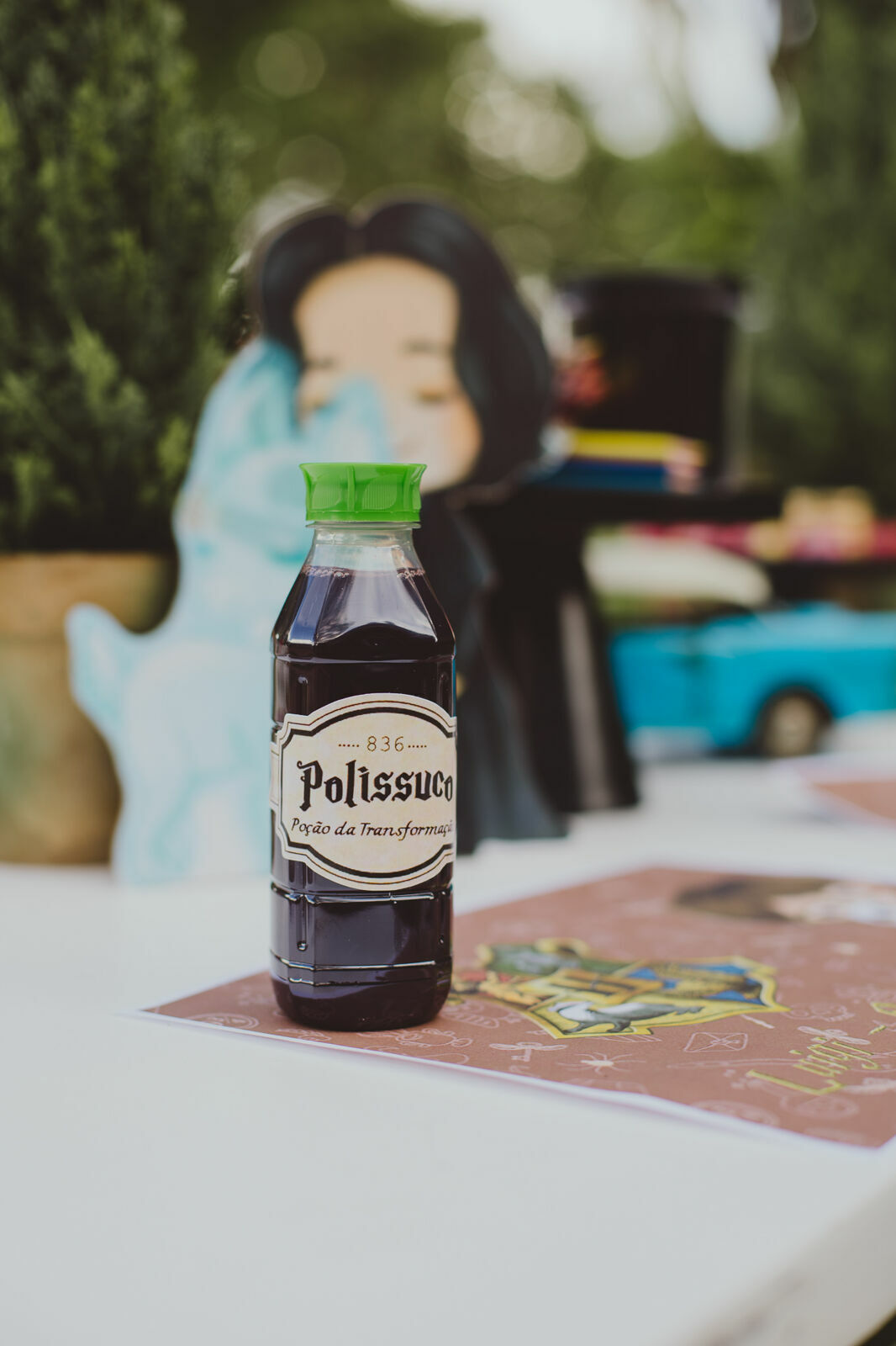 Foto Luigi 6 anos - Harry Potter - Imagem 15