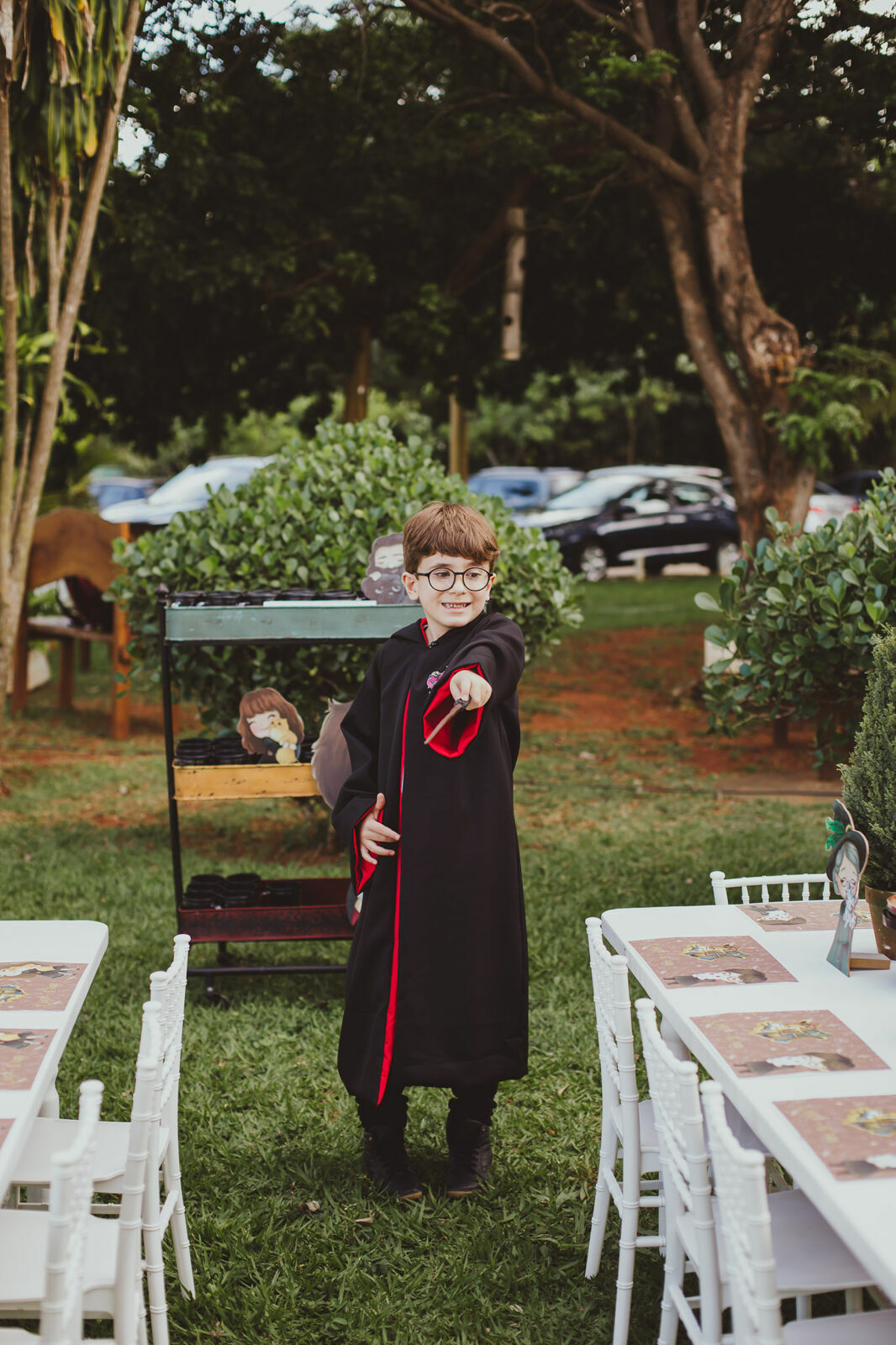 Foto Luigi 6 anos - Harry Potter - Imagem 37