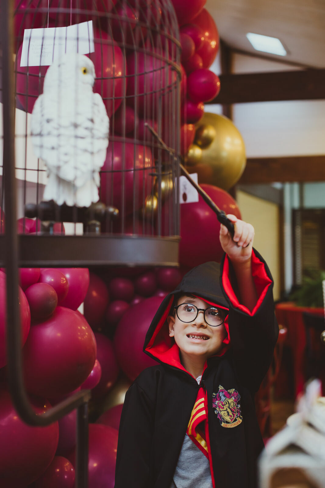 Foto Luigi 6 anos - Harry Potter - Imagem 23