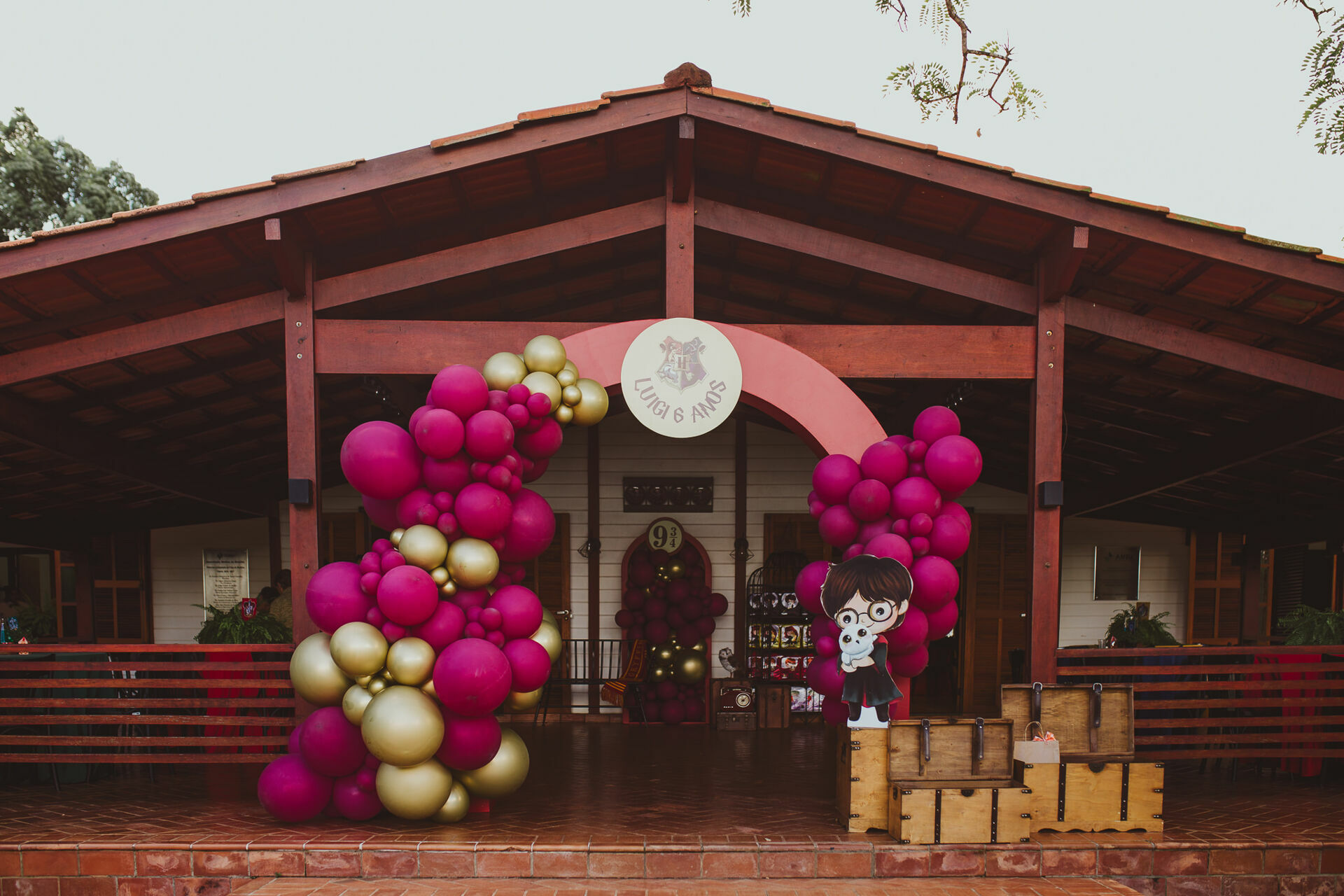 Foto Luigi 6 anos - Harry Potter - Imagem 0