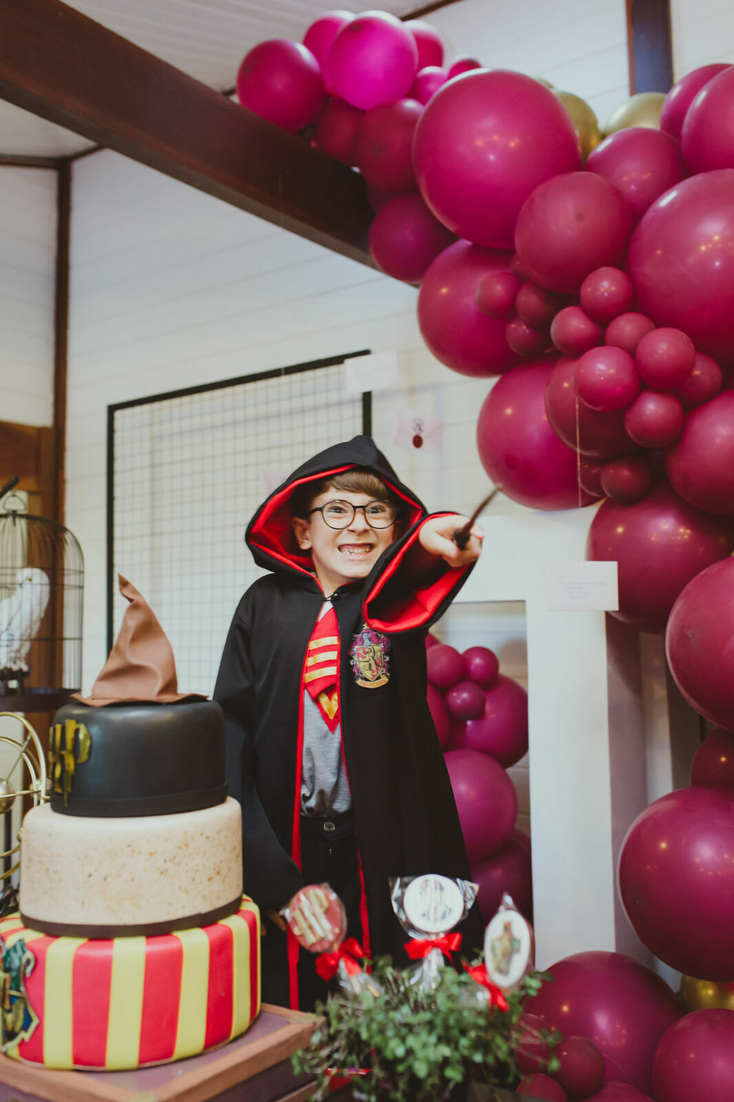 Foto Luigi 6 anos - Harry Potter - Imagem 35