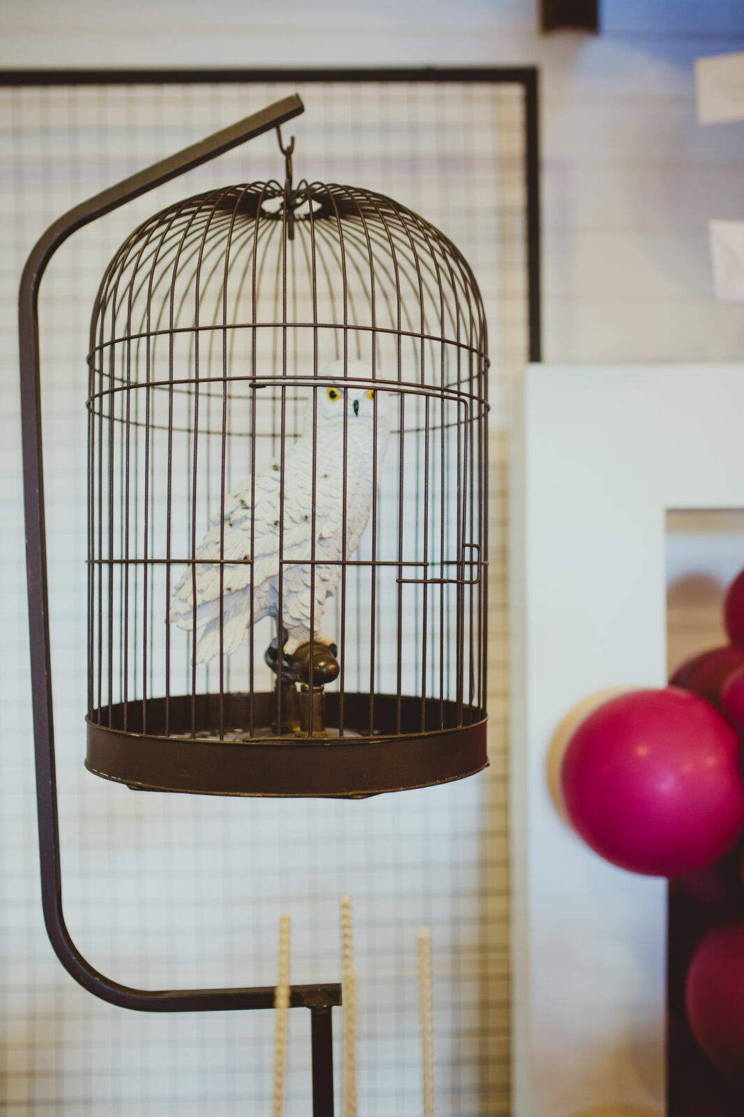 Foto Luigi 6 anos - Harry Potter - Imagem 11