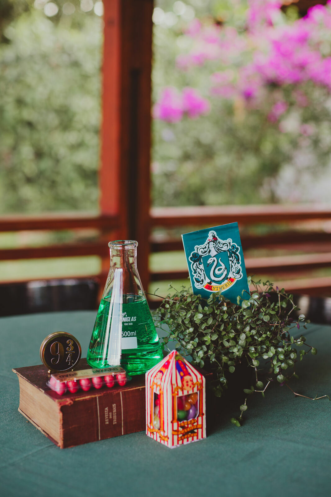 Foto Luigi 6 anos - Harry Potter - Imagem 17